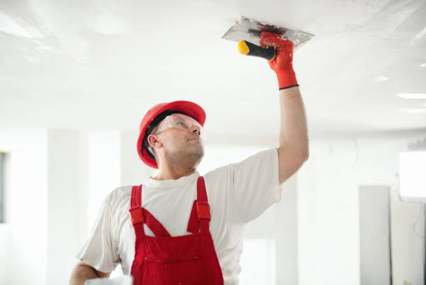 Best Water-Damaged Drywall Repair  in USA